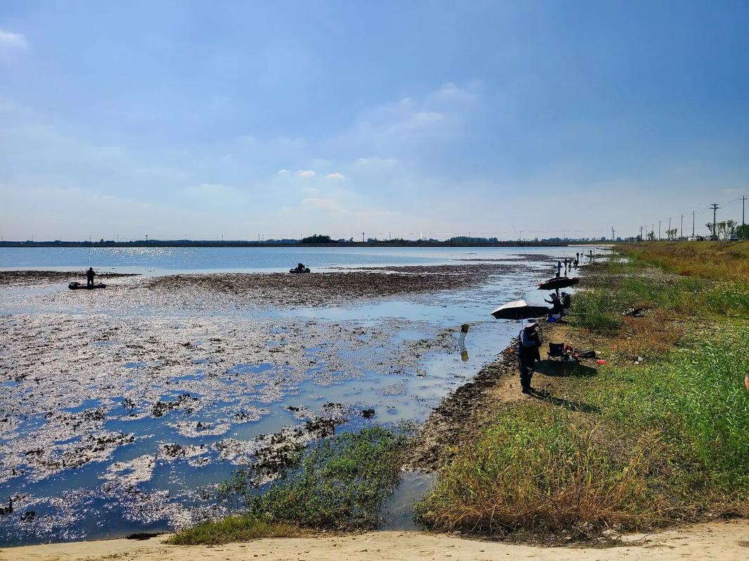 杭州白馬湖釣魚免費_白馬湖釣魚活動_釣友報名情況分析
