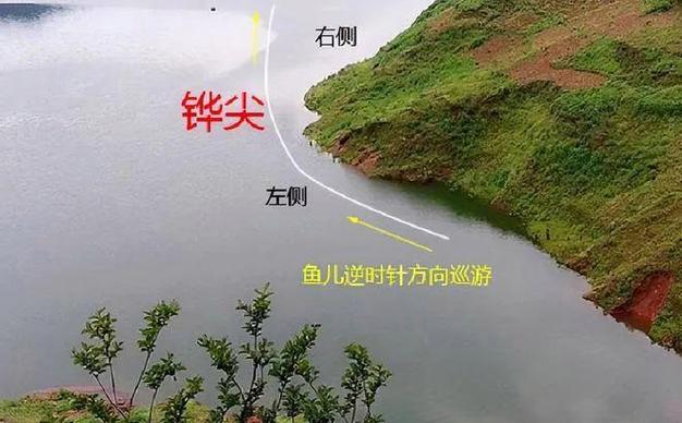 適合初學者的釣魚方式_釣魚新手入門方法_釣魚入門技巧圖解