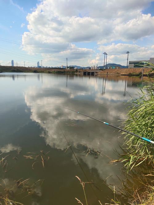 南京免費野釣點_南京龍潭釣魚的地方_南京周邊野釣地圖