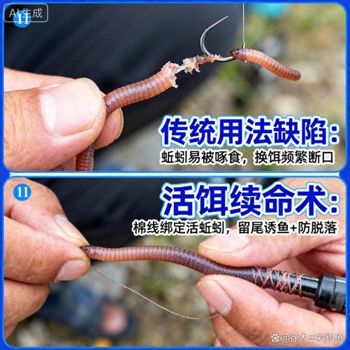蚯蚓垂釣鯽魚技巧視頻_野釣鯽魚蚯蚓技巧_野釣鯽魚蚯蚓掛法