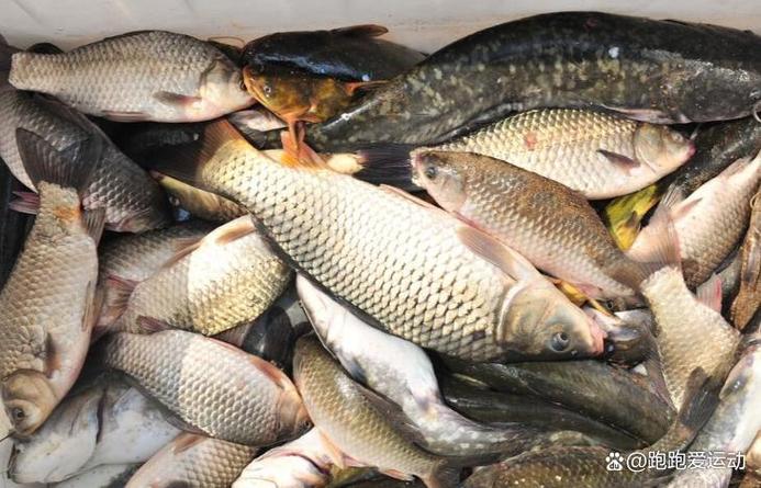 冬季釣魚鐵律_冬天野釣技巧_釣魚視頻 野釣