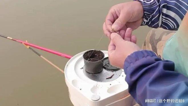 蚯蚓釣魚進階用法_蚯蚓如何釣魚_丁香油拌蚯蚓釣鯽魚