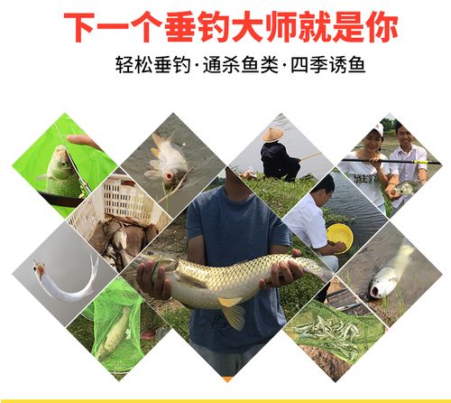 龍王恨魚餌野戰藍鯽香腥味通殺餌料_龍王恨草魚餌料怎么搭配_通殺型魚餌配方秘密