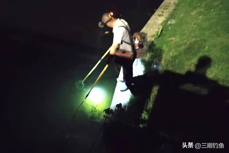 電魚行為_電魚危害_全國電魚舉報電話