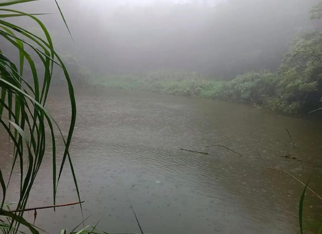 初春釣魚天氣選擇_春季下雨好釣魚嗎_春季釣魚最佳天氣