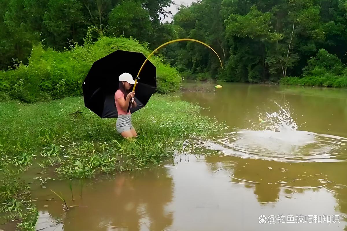初春釣魚天氣選擇_春季下雨好釣魚嗎_春季釣魚最佳天氣