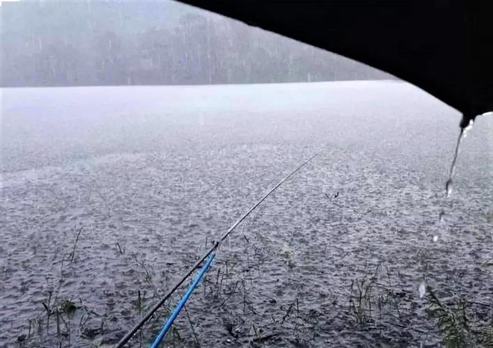 春季下雨好釣魚嗎_春季釣魚最佳天氣_初春釣魚天氣選擇