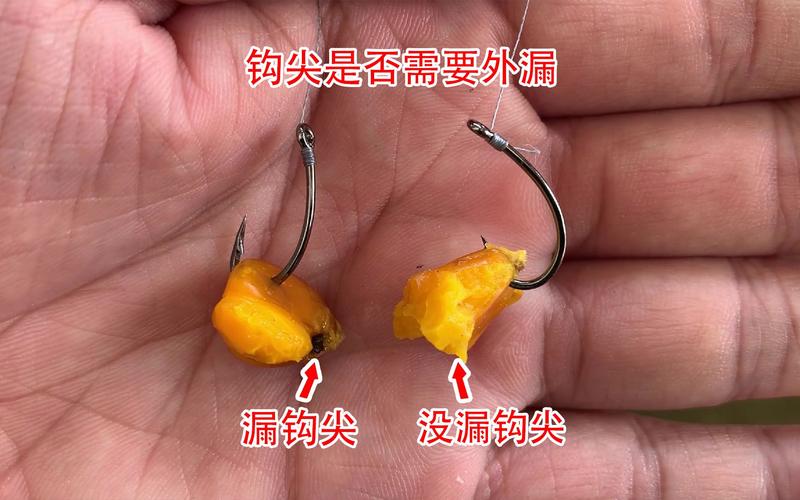 3至5斤鯉魚用多大鉤合適_釣鯉魚大鉤比小鉤高效_釣鯉魚涮餌習性大鉤優勢