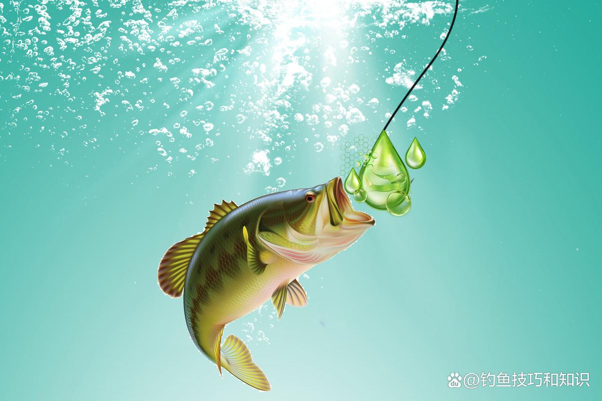 野釣小藥用量搭配_釣魚餌料的搭配_野釣小藥使用場景