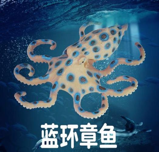 藍環章魚毒性排第幾_藍環章魚 澎湖現蹤 神經性劇毒
