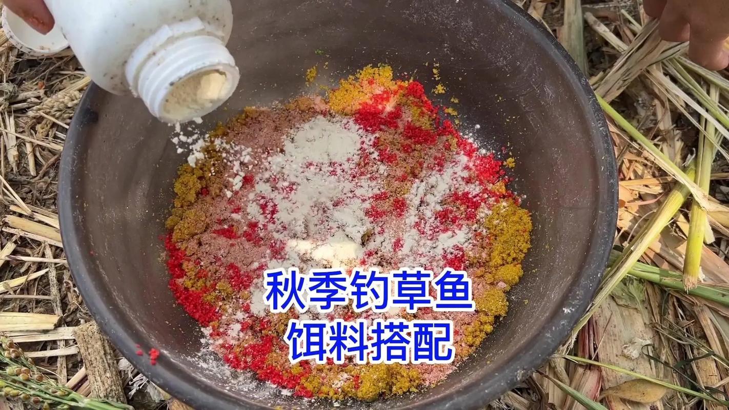 草魚餌料需要加拉絲粉嗎_草魚餌料配方_玉米粉釣草魚