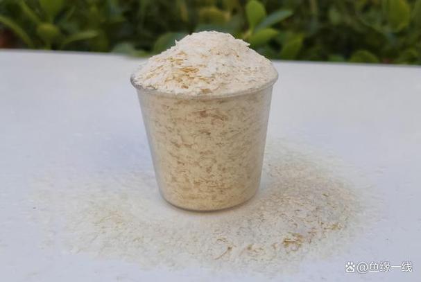草魚餌料需要加拉絲粉嗎_玉米粉釣草魚_草魚餌料配方