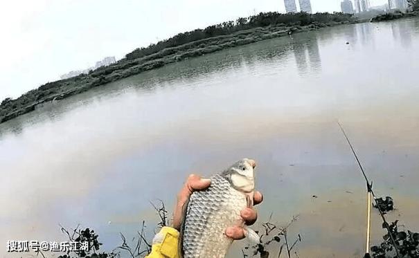 釣魚天氣_晴天釣魚技巧_陰天釣魚技巧