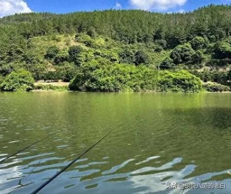 陰天釣魚技巧_晴天釣魚技巧_釣魚天氣