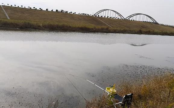 釣魚天氣_四季釣魚天氣選擇規律_晴天釣魚技巧