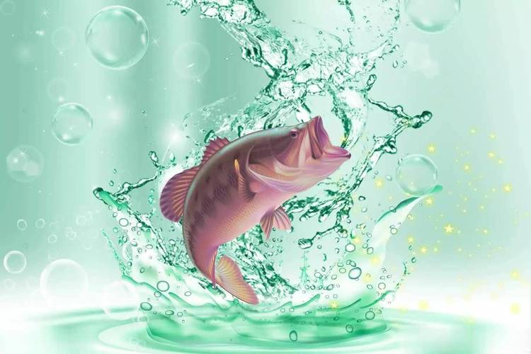 為啥氣壓高了魚口不好_釣魚氣壓變化規律_氣壓與魚口關系