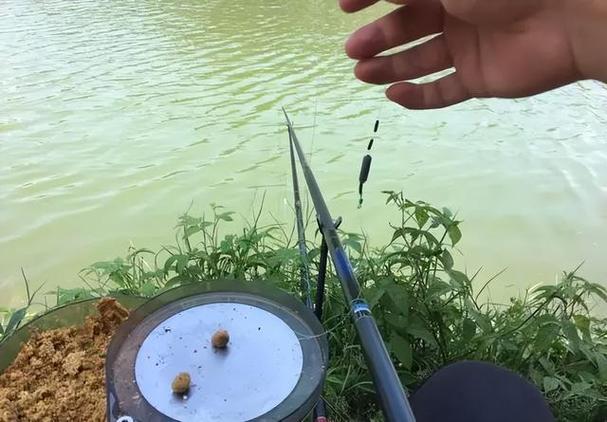 釣魚巧合事件_釣魚圖片大全_釣魚詭異現象分析