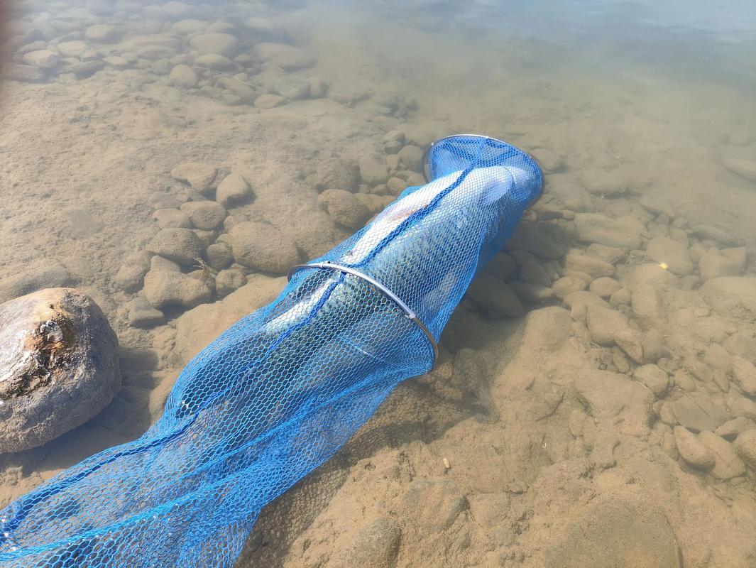 3D釣魚手游_釣魚王者_釣魚王者游戲特色