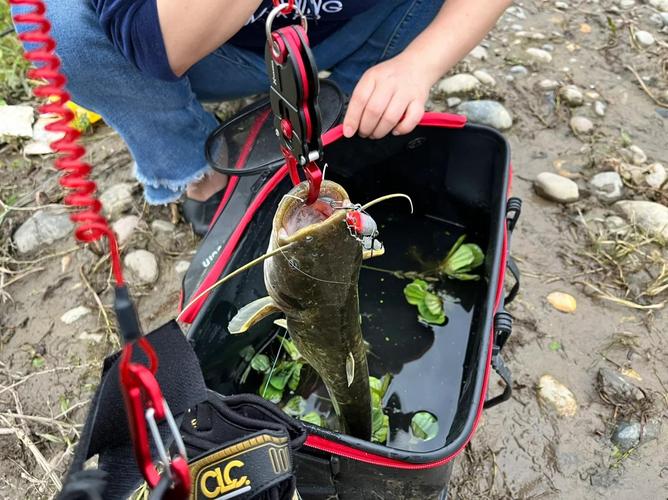 為什么不能用路亞竿釣魚_錨魚 打海竿陣 釣魚人