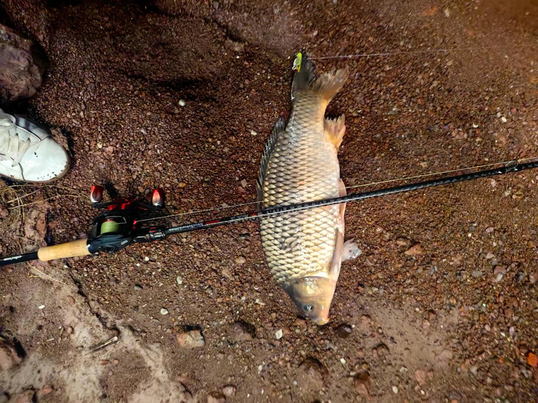 為什么不準用路亞釣魚的原因_路亞釣魚技巧入門_新手路亞釣魚教學