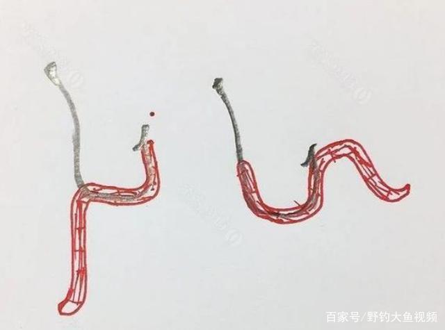 避開誤區提高中魚率_野釣鯽魚蚯蚓掛法技巧_釣魚蚯蚓掛法圖