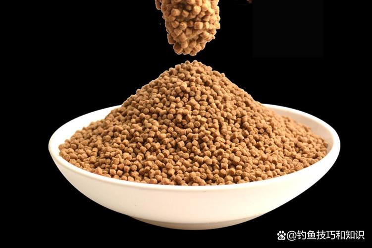 不同個體鯉魚釣法_專攻黑坑鯉魚餌料配方_黑坑鯉魚垂釣技巧