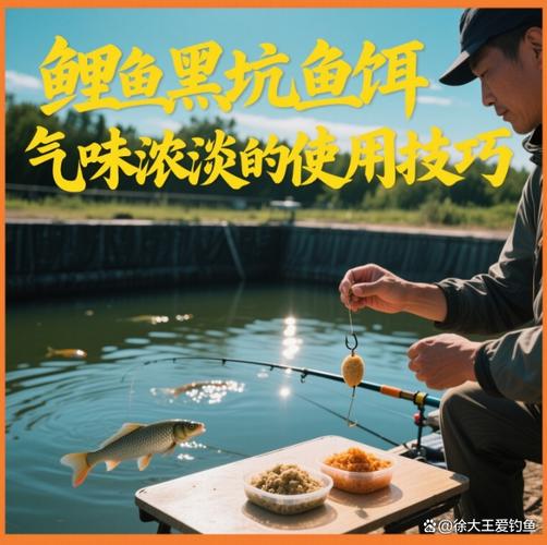 黑坑鯉魚垂釣技巧_不同個體鯉魚釣法_專攻黑坑鯉魚餌料配方