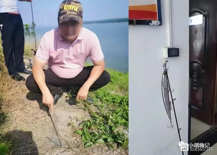 路亞釣魚為什么禁止_為什么不準用路亞釣魚呢_路亞釣法技巧