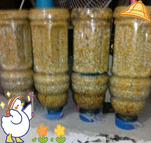 釣魚窩料配方大全_釣魚的窩子料怎么配_釣魚窩料的絕密配方大全
