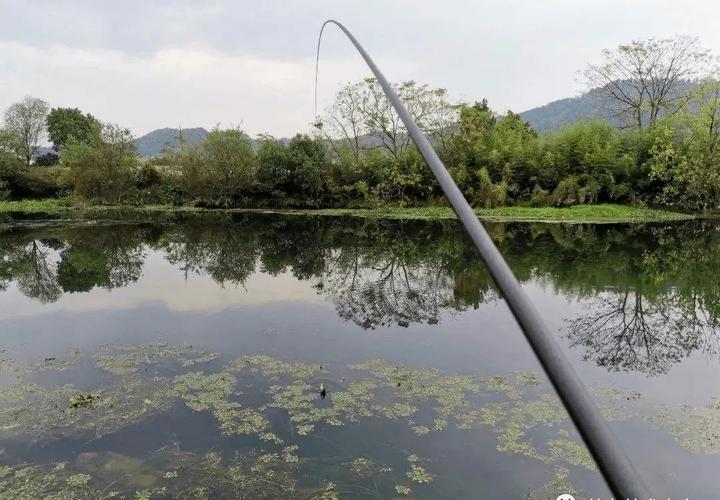 春季水庫釣魚_春季水庫釣魚技巧_春季釣點選擇攻略
