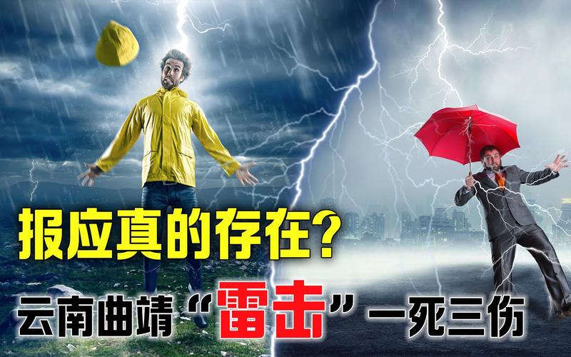 遭雷擊死亡牛頭人的電影_42頭牛被雷擊死_42頭牛遭雷擊死亡