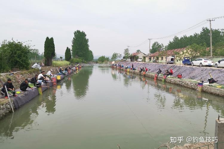 新手避坑指南_西安西郊黑坑魚塘攻略_西安釣魚論壇