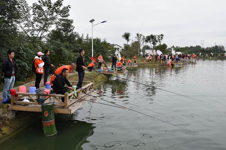 新手避坑指南_西安西郊黑坑魚塘攻略_西安釣魚論壇