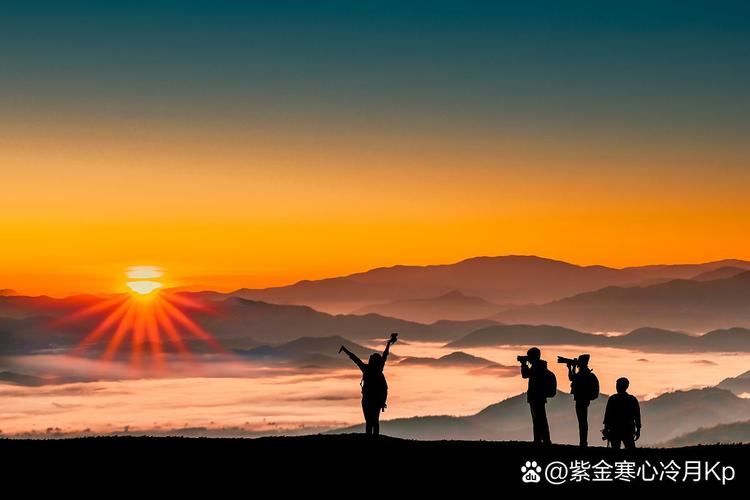 迎紅日打一準確生肖_朝迎紅日_迎紅日什么意思