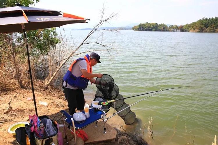 大縱湖湖塘花海釣魚_大縱湖垂釣_花亭湖垂釣區
