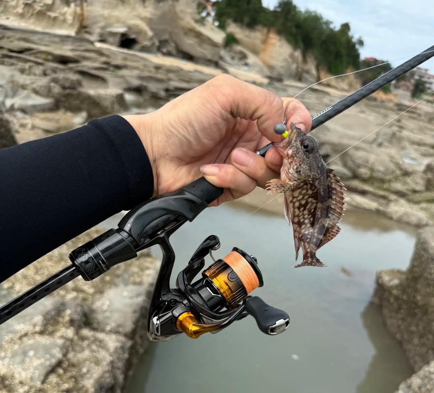 路亞釣法效果如何_為什么叫路亞釣_路亞釣法可以釣鯉魚嗎