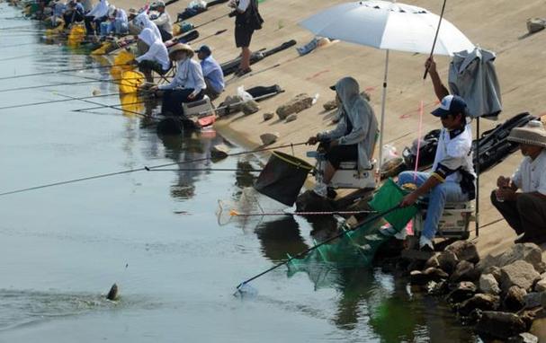 草魚餌料品牌起名大全_起名大全餌料草魚品牌_起名大全餌料草魚品牌有哪些