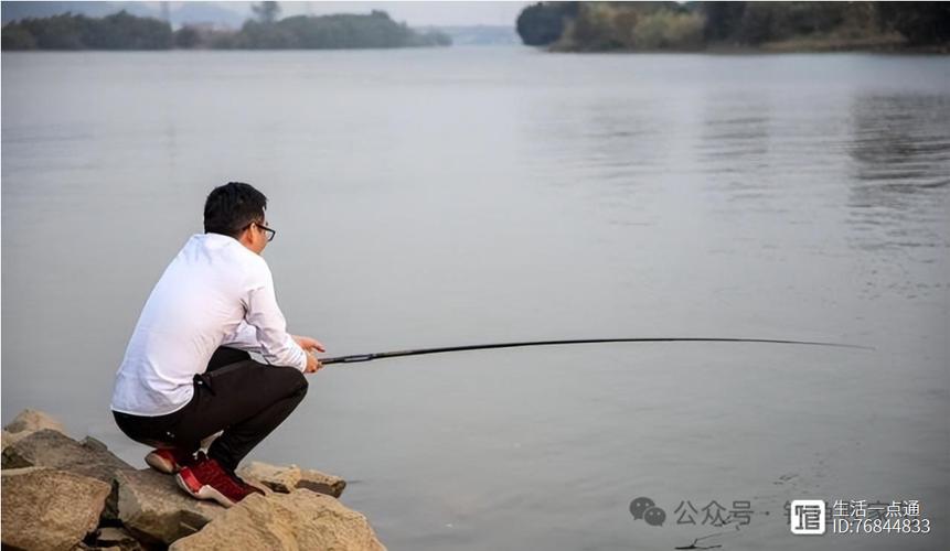 釣魚放風油精_為什么禁止風油精釣魚_風油精釣魚