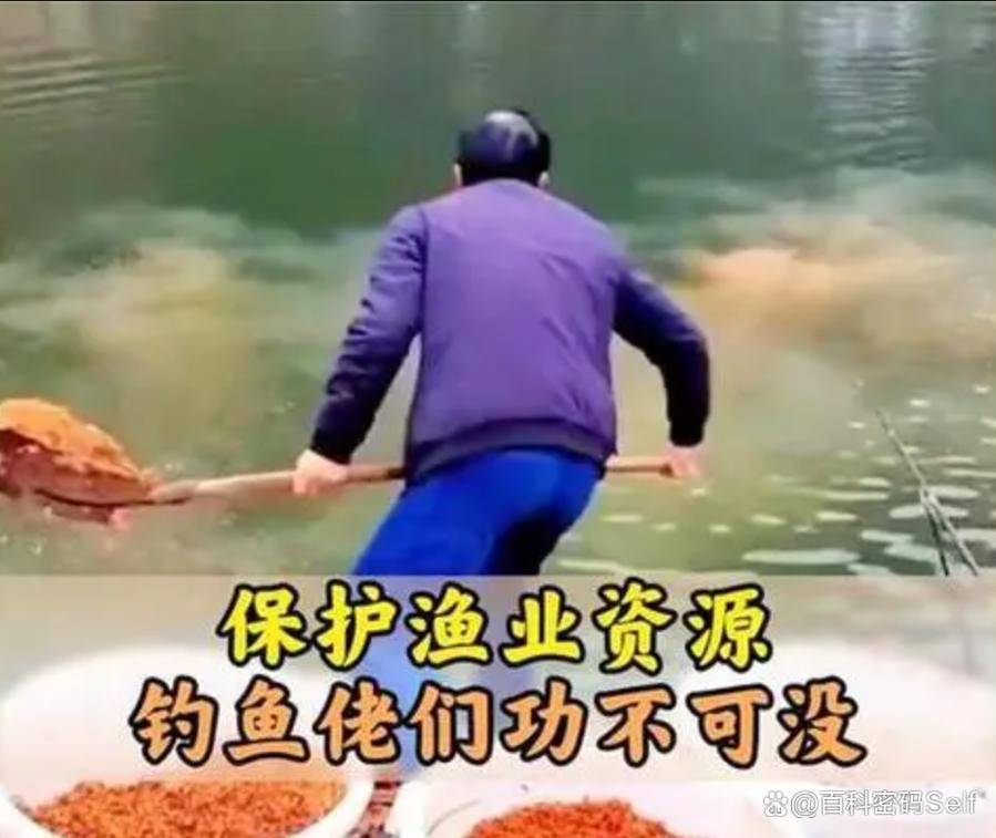 長江禁漁政策_合法垂釣規定_為什么禁止路亞