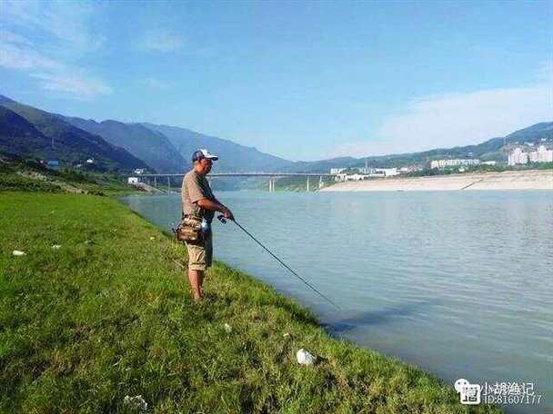 為什么禁止路亞釣魚的原因_路亞釣法被禁_湄潭縣路亞釣法禁令