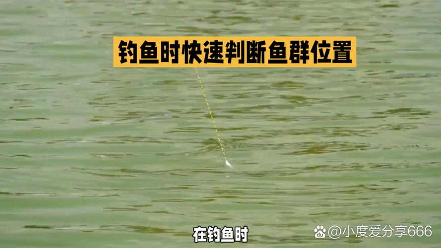 競技釣魚浮標語言_浮標語言_浮標降訊語言分析