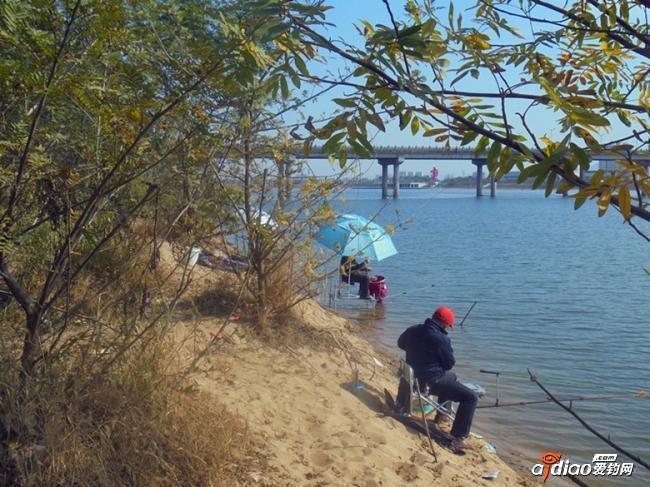 茨淮新河建設過程_茨淮新河歷史_茨淮新河釣魚