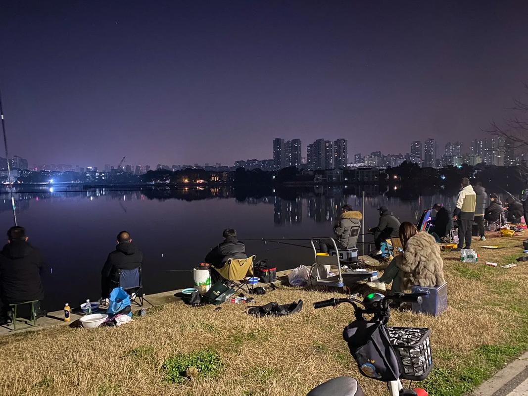 陰天釣魚怎么樣_釣近釣淺_陰雨天夜釣