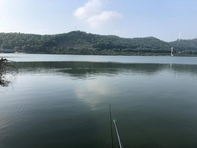 東莞野釣水庫_東莞釣點大全_東莞五點梅水庫釣魚