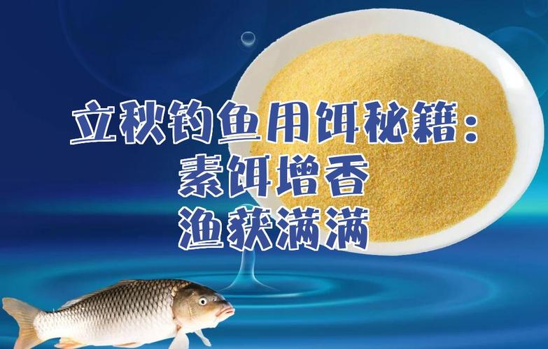 釣魚選釣位技巧找魚位攻略_新手釣魚入門基本功_提高釣魚技巧穩增漁獲實用方法選位用餌調釣實操