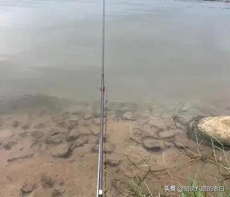 新手釣魚入門基本功_提高釣魚技巧穩增漁獲實用方法選位用餌調釣實操_釣魚選釣位技巧找魚位攻略