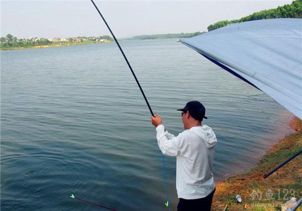 御龍在天稀有魚餌_御龍在天 怎么釣魚_御龍在天釣魚技巧