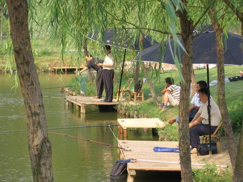 夢幻西游釣魚組隊技巧_夢幻釣魚_夢幻西游釣魚技巧攻略