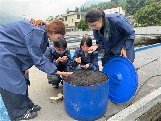中華鱘養殖方法_中華鱘魚苗放養技術_中華鱘魚