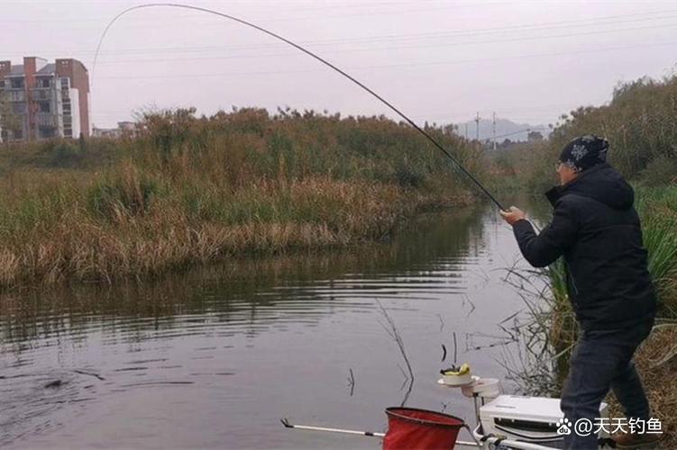 新手釣魚技巧_釣魚位置選擇_冬季釣魚
